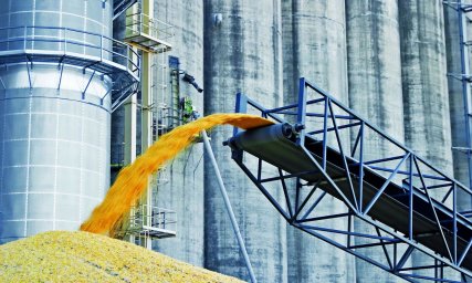 Элеваторное оборудование для зерна: ключевые особенности и преимущества