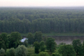 Площадь утраченных лесов в Подмосковье составила 110 тыс. га